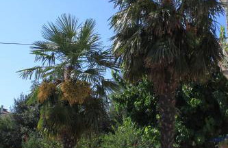 Apartment Basanija 7149b - Foto 15