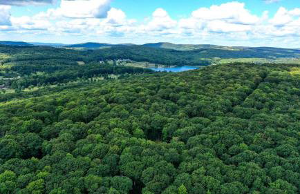 Luxury Lakeside Mountain Escape with Wraparound Deck Near Terra Alta, West Virginia - Foto 57
