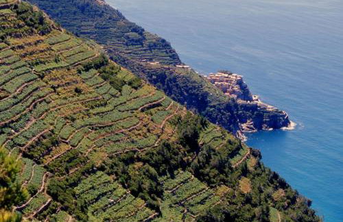 Relax a pochi passi dal Mare - Photo 33