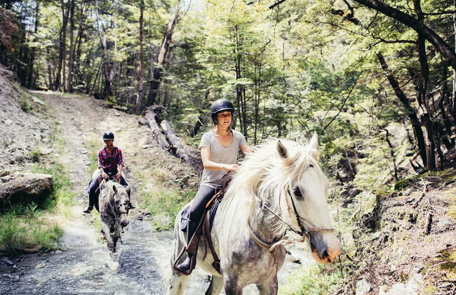 Mahu Whenua - Foto 32