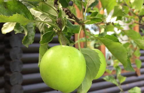 Eifel-Lounge BLOCKHAUS mit Kamin Garten Balkon nahe Köln Therme Brühl Phantasialand - Foto 54