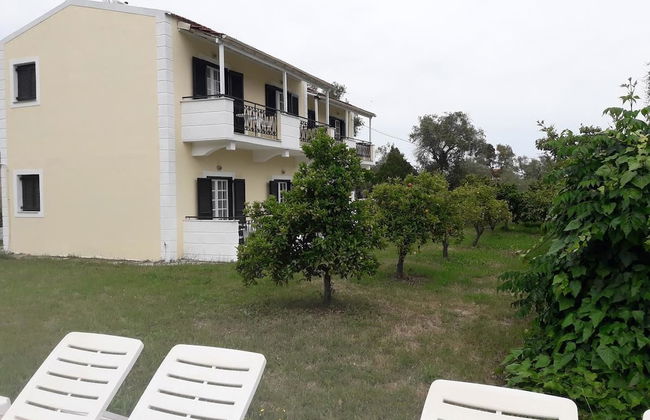 Amelia's Garden - Foto 15