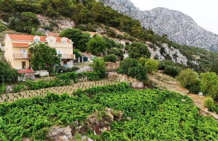 Apartman Dani - Foto 6