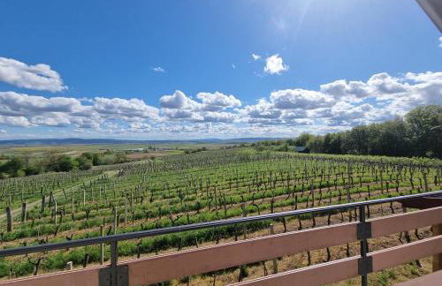 Kuća za odmor Baron - Foto 34