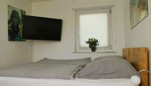 Kleiner Elefant - Foto 3