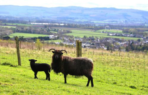 Kirklandbank Farmhouse - Foto 22