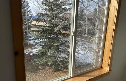 Large Modern Driggs Home with Game Room, Close to Targhee! - Foto 28