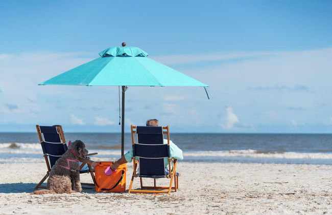 Stunning 4BR Vacation Rental With Private Pool, Spa, & Resort Club Cards - Photo 64