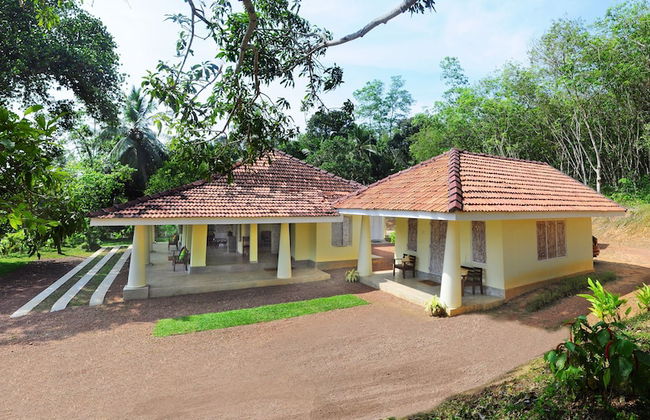 Cinnamon Trails - Foto 1