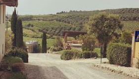 Bacco a Petroio - Foto 4