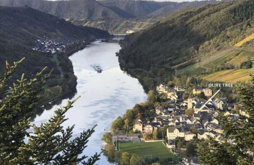 Holiday home in Bullay with sauna - Foto 41