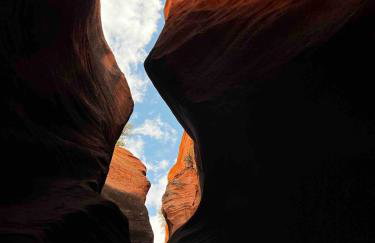 Cozy Home Between Zion & Bryce - Photo 25