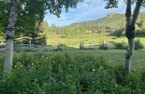 3076 W Highway 160 - Main House - Foto 69