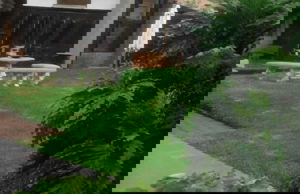 Amandahill Guest House - Foto 24