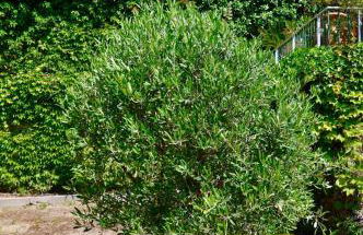 L'HORIZON - 90m2 - Belle vue - Centre - Parking - 3 Chambres - Photo 19