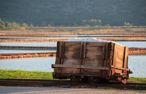 Villa Mali Ston (3588) - Foto 49