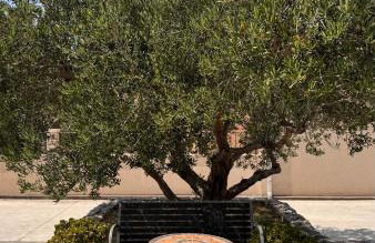 Apartments Denis - Foto 16