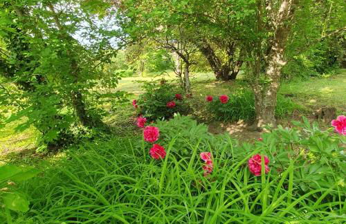 Les Demeures du Parc, la Bourbonnaise, proche des Thermes - Foto 16