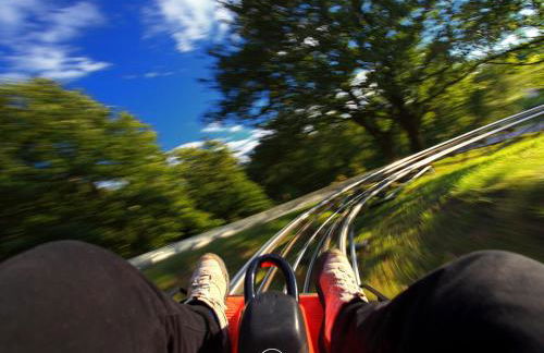 Waldklang - Refugio - Hund - Zaun - Smart - Foto 53