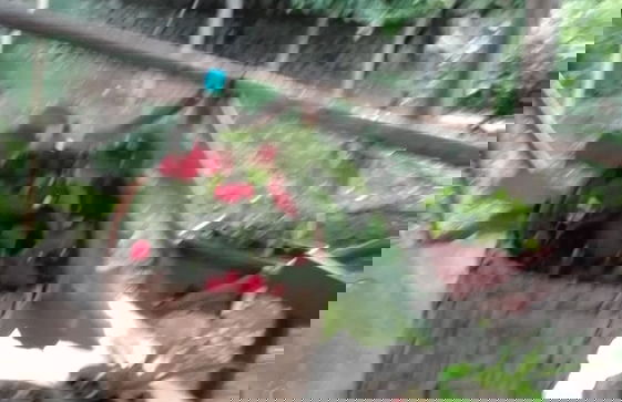 Agriturismo Mare e Monti - Foto 75