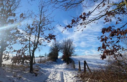 Klein aber fein in der Altstadt - Photo 23