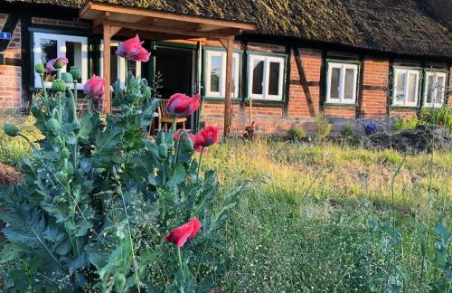 Haus an Fluss und See - Foto 62