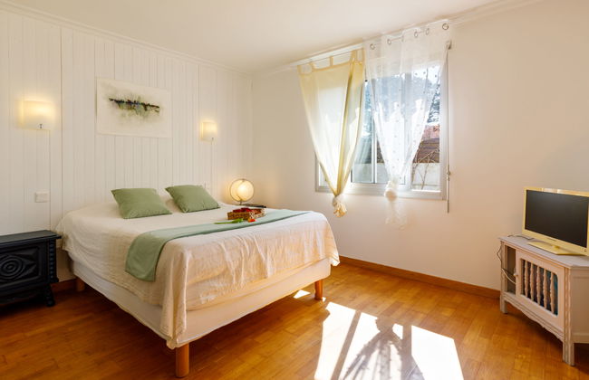 L'Oiseau Bleu - Foto 11