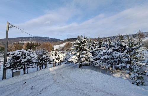 Dom nad Potokiem Sowa - Foto 46