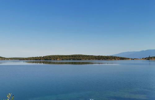 Saint Andrews Bay - Foto 23