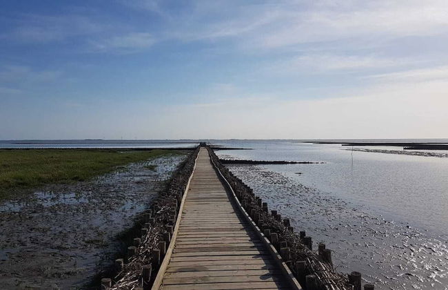 Haus Hemenswarft - Foto 67