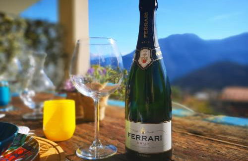 Magic Garden with Jacuzzi-Pool and Luxury Lake Como view - Foto 35