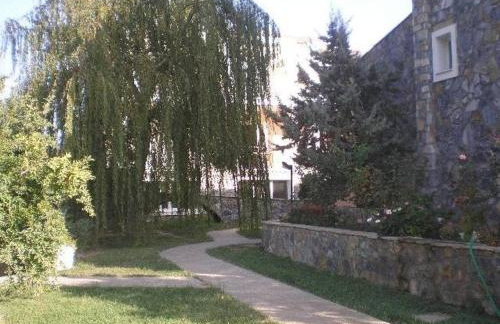 Apollon (ex. Albatros) - Foto 23