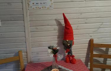 Domki Borowiackie nad brzegiem jeziora - Foto 17