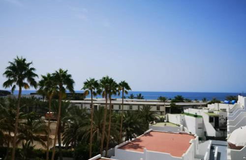 Estrella de Mar - Photo 39