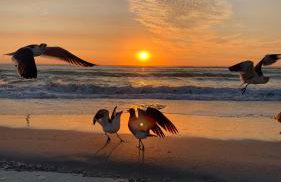 Paradise Home, Tranquil canal view 3-BDR in Golfers paradise - Foto 3