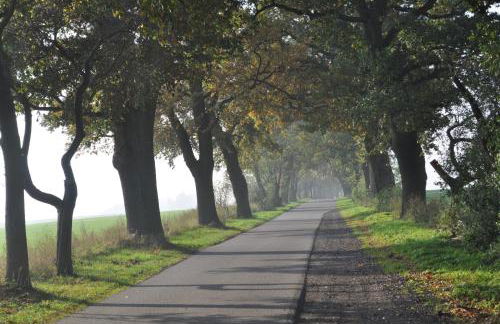 Kulturfreizeiten Ferienwohnungen - Photo 42