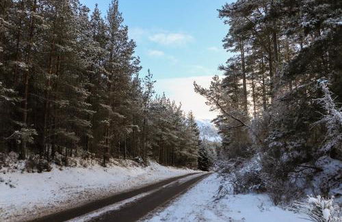 Osprey Apartment - Foto 33