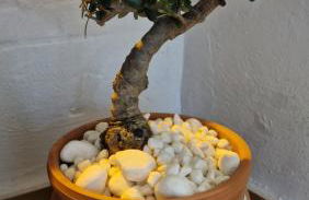 La Caseta - Photo 38