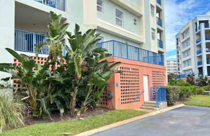 Seashell Escape - Foto 7