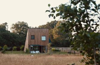 Zen Sasino - Foto 45