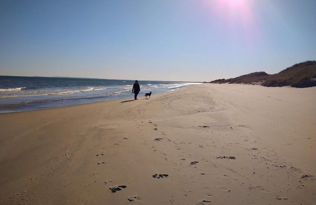 5 Star Holiday Home in Skagen - Foto 22