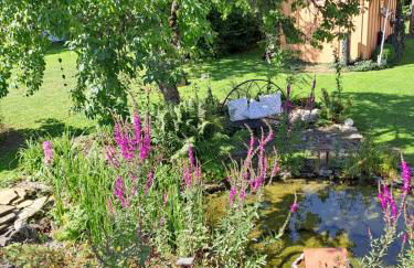 Schwarzwaldmarie - Foto 36