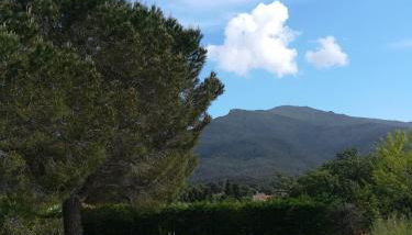 Le Quatorze - Photo 4