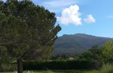 Le Quatorze - Photo 4