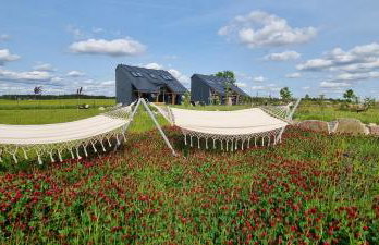 Osada Miłojeż - całoroczne Domy Premium w Borach Tucholskich, Jacuzzi pod gwiazdami - Foto 11