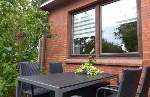 Midlum Zaunkönig - Foto 28