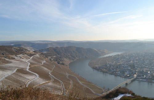 Weingut Mathy-Schanz - Foto 15