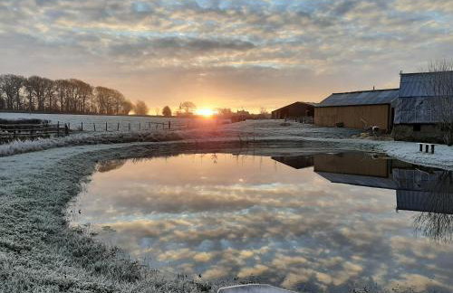 Shave Farm - Foto 14