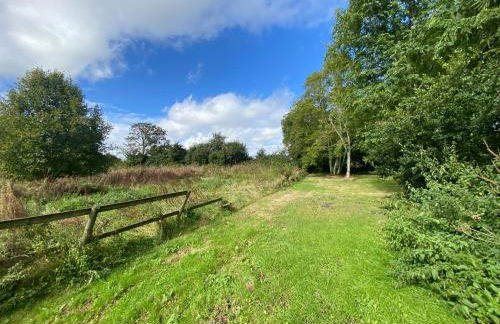 Dairy Farm - Foto 39