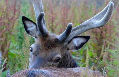 The Den - your cosy sleepover space - Photo 28